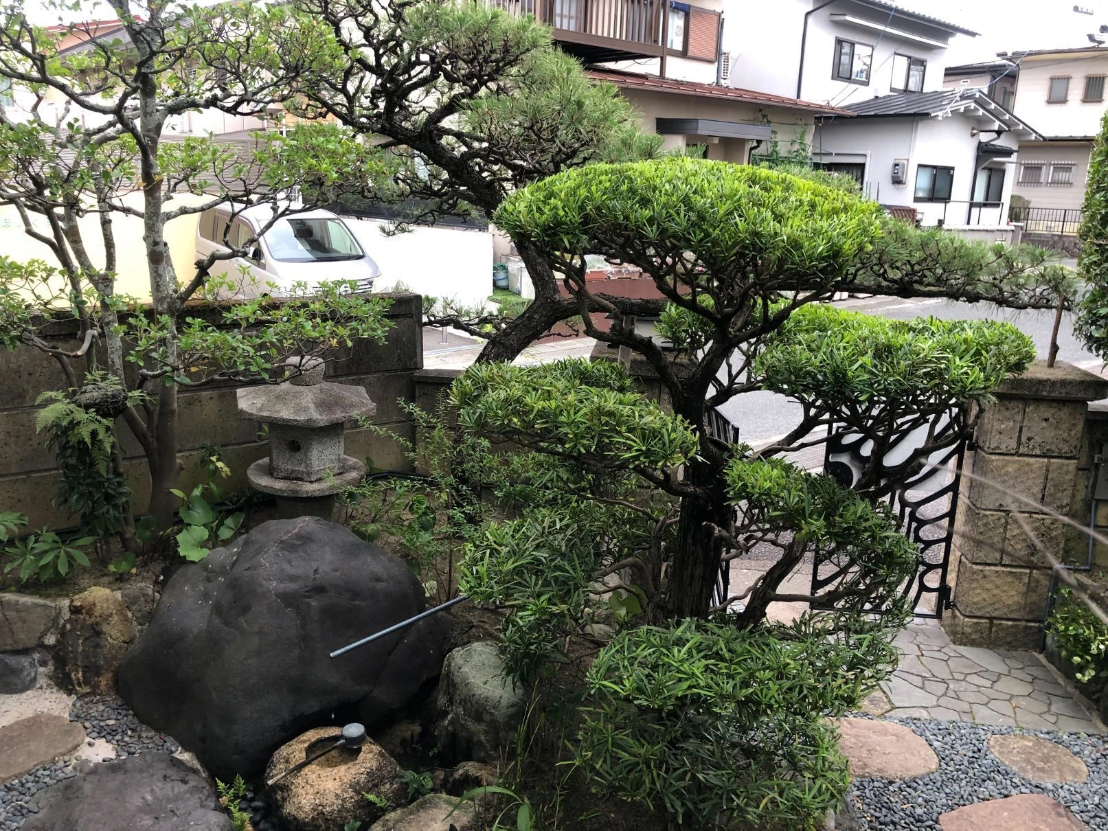 庭