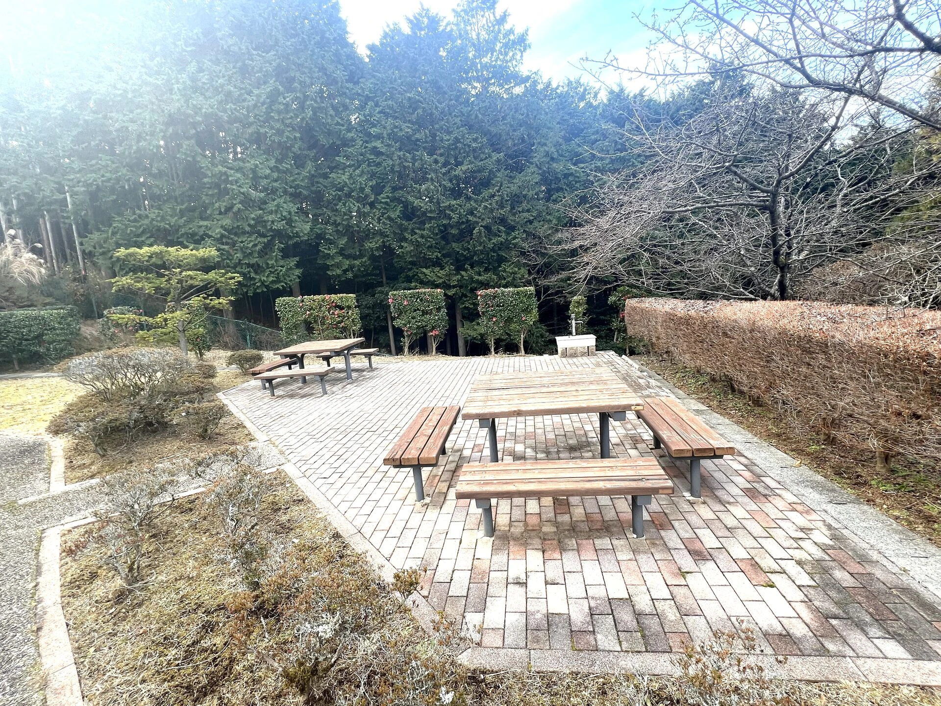 30 BBQ場