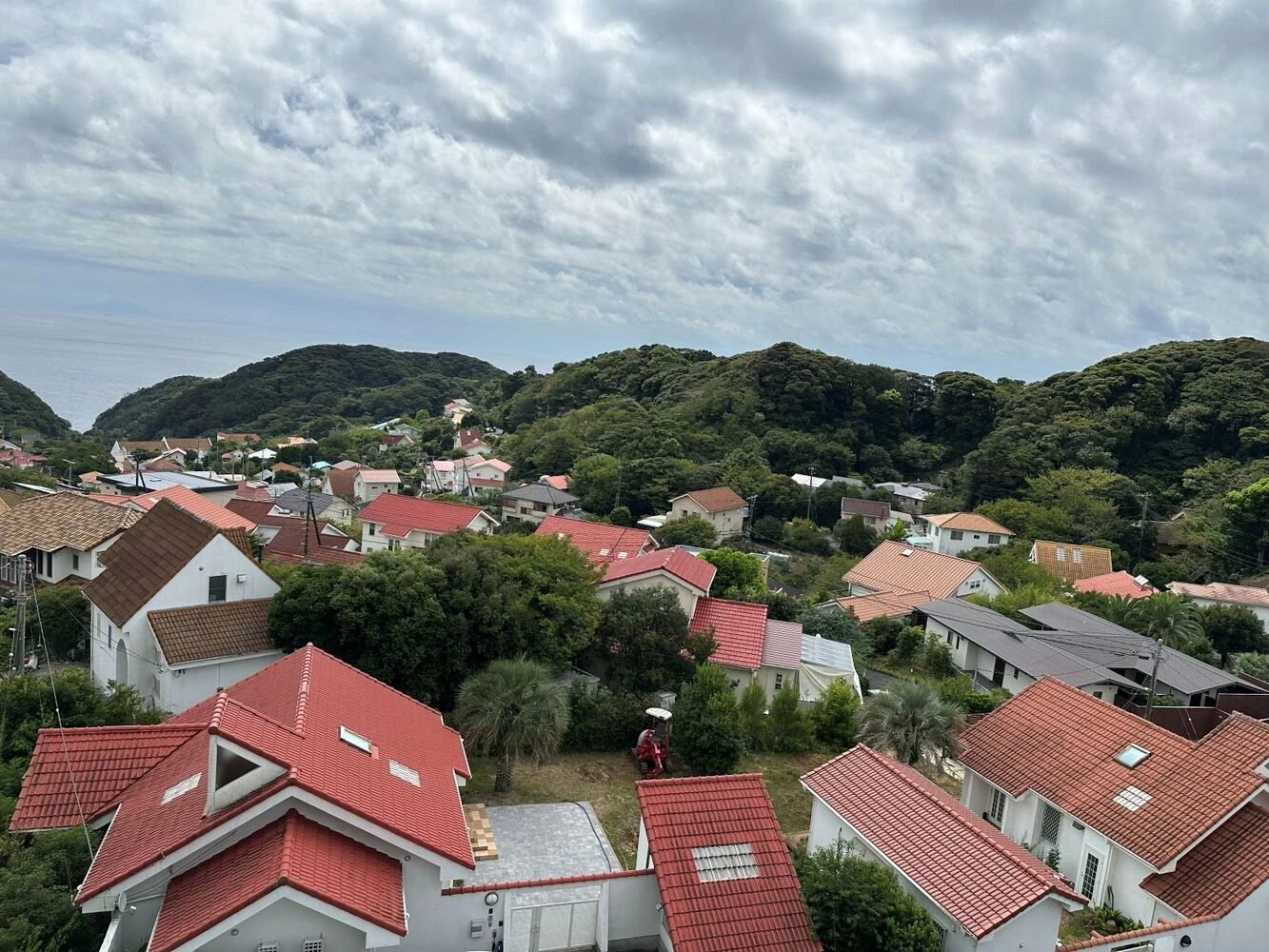 ブログ画像
